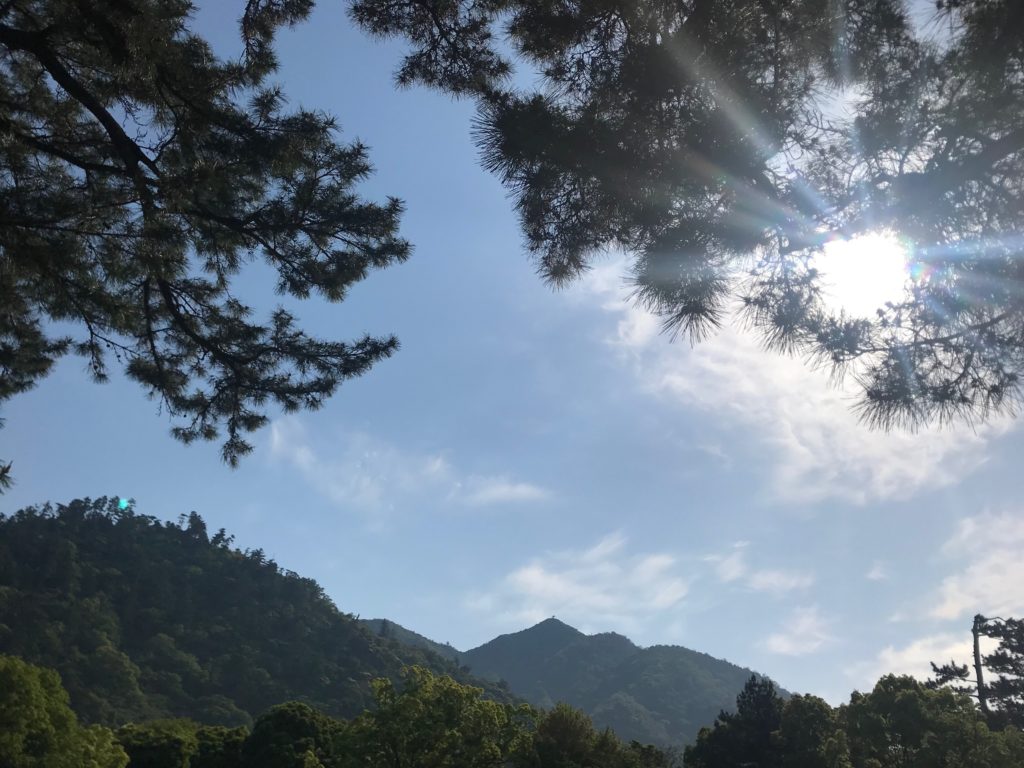 算命学で見る原因と結果、人生の流れを象徴する風景